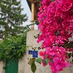 Apartment Franicevic