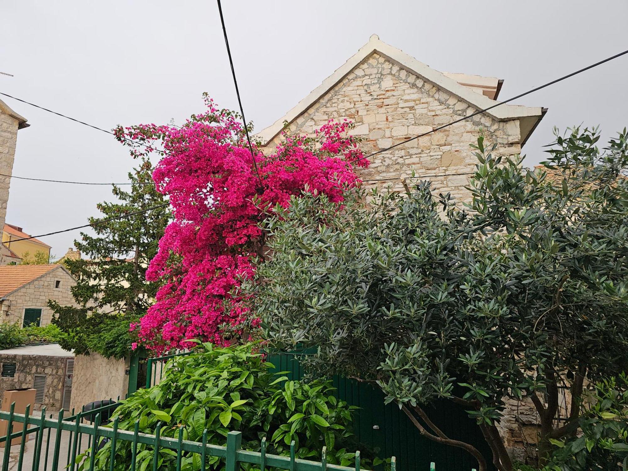 Appartement Franicevic Split